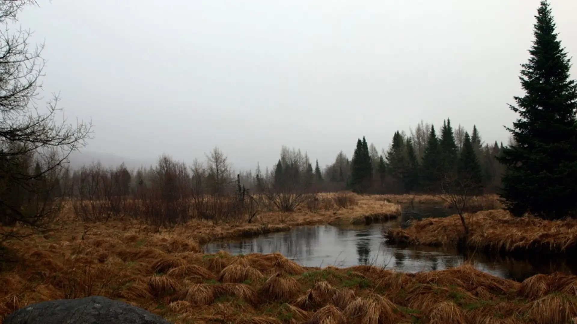 Late fall is a lovely time to visit South Meadow.