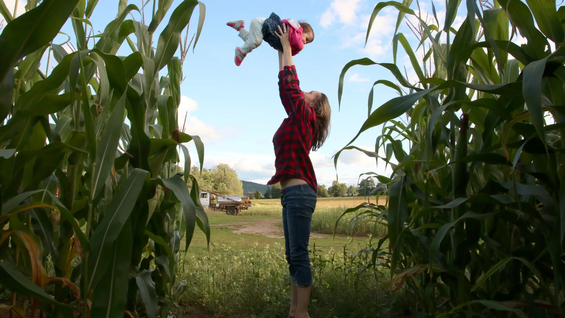 The Great Adirondack Corn Maze