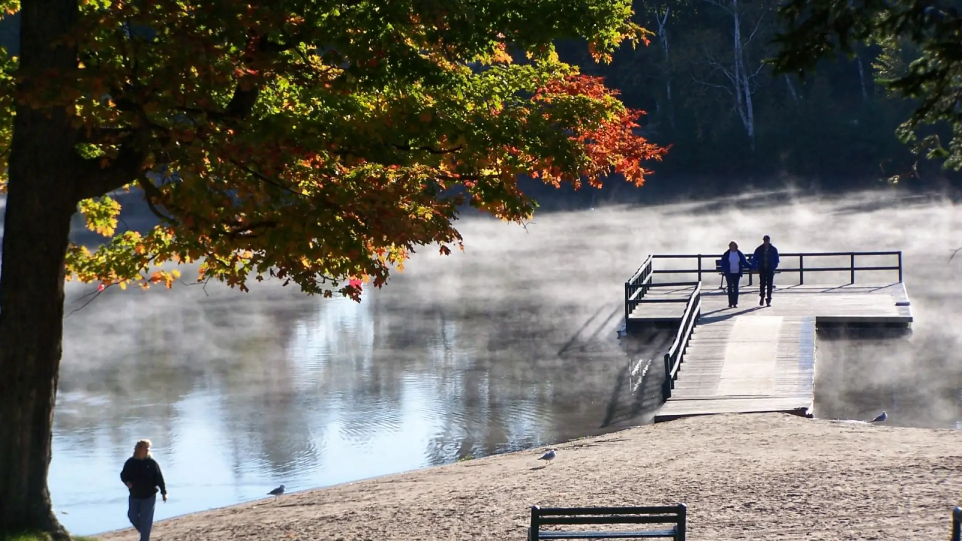 All our drives are scenic drives - keep your eyes open for places to pull over and explore.