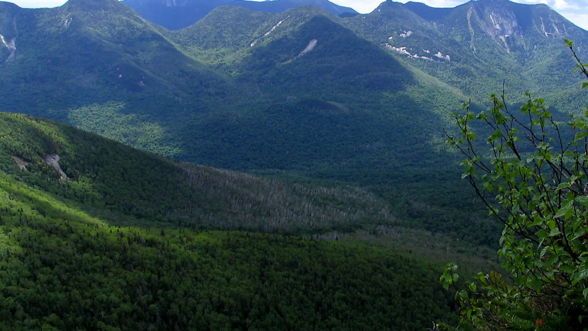 Mountains looking blue