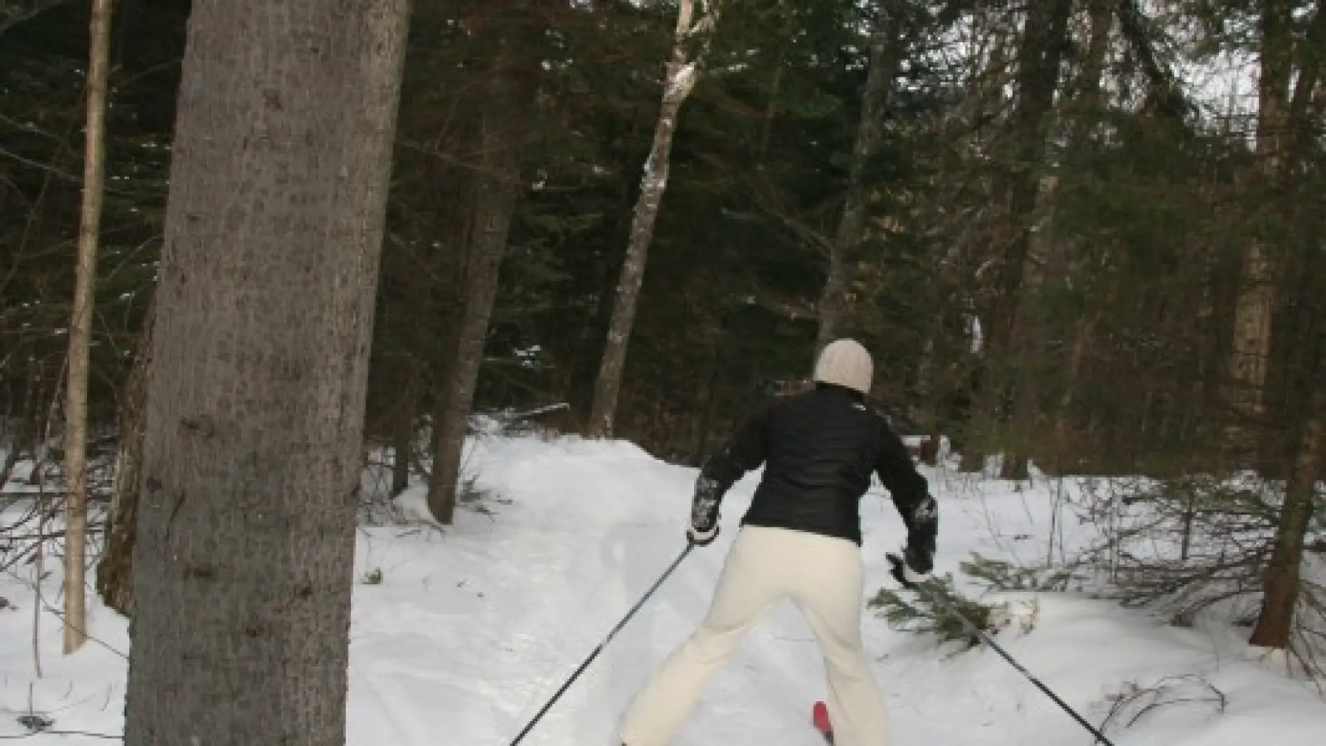 A skier heading downhill on the Jackrabbit Trail