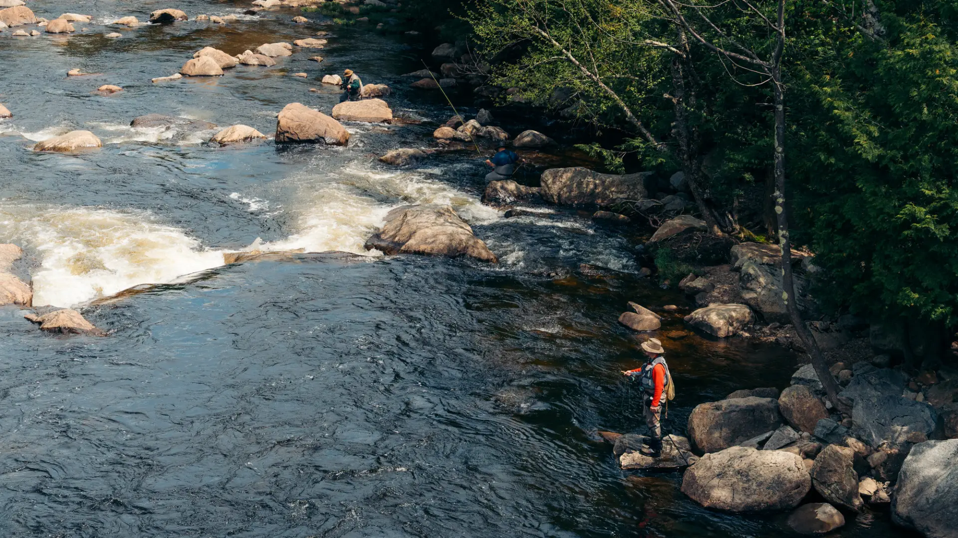 People fishing on the side of a river.