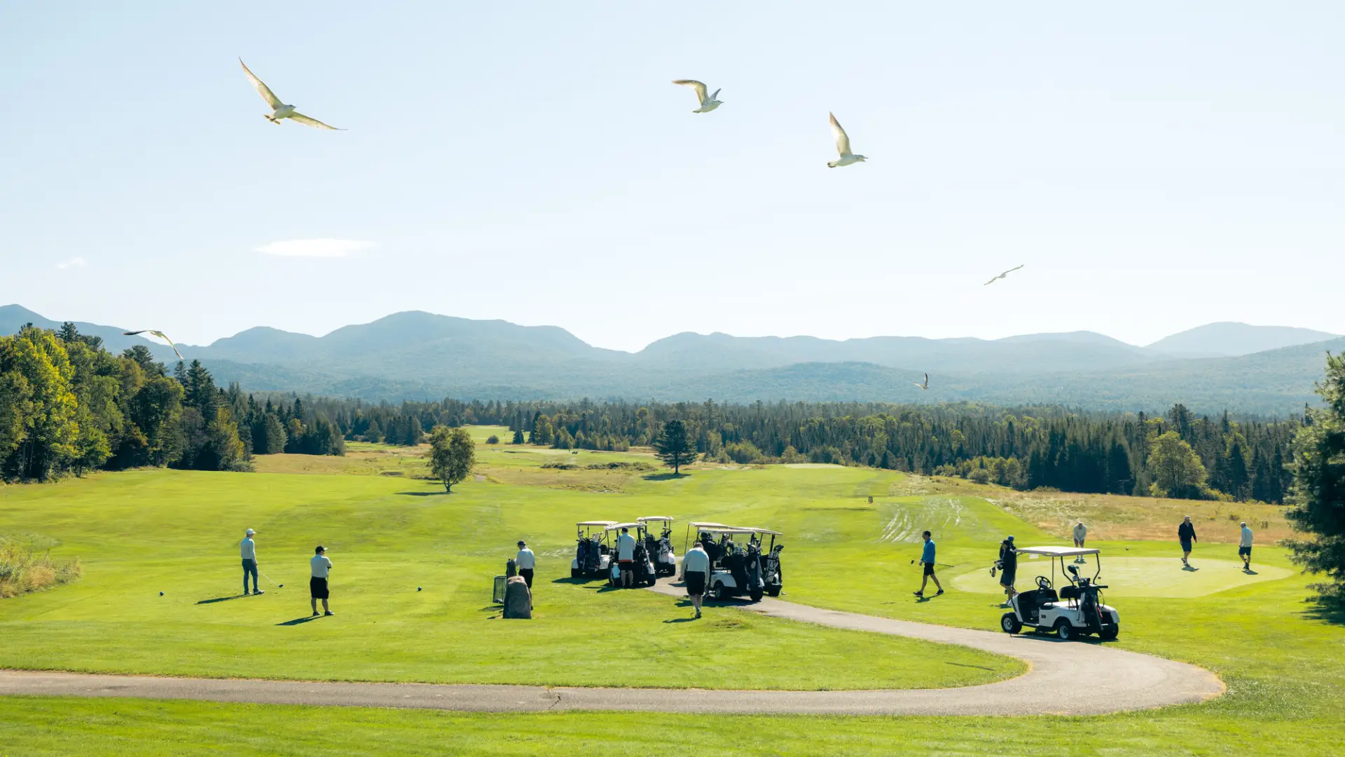 A group of men golf on a summer golf course. 