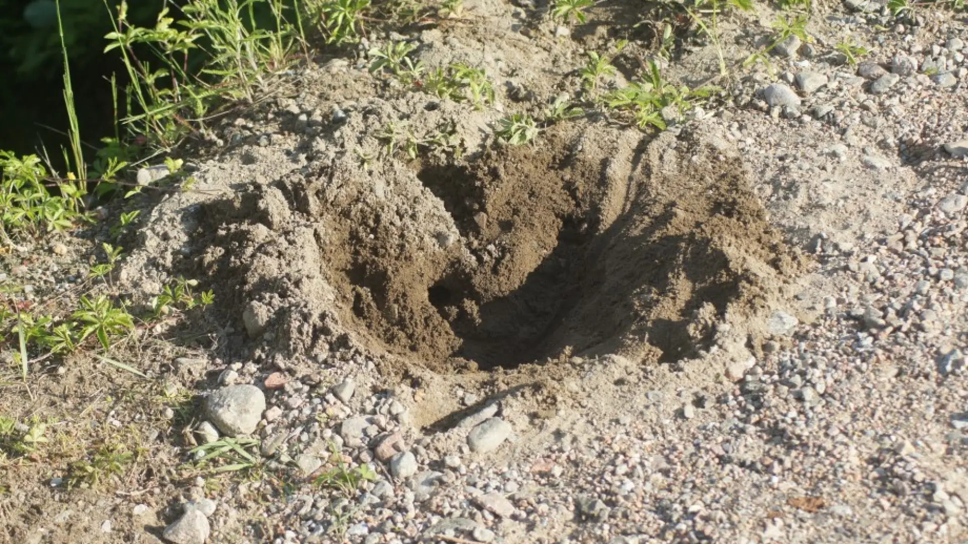 Turtle nest hole