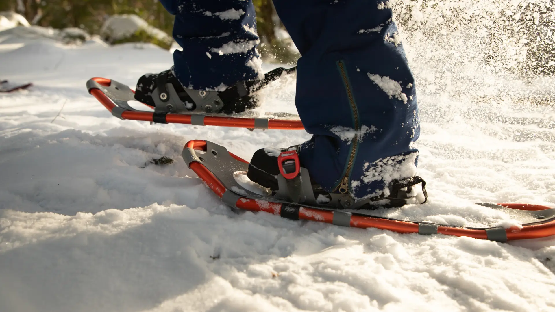 This is a fine place to try a snowshoe climb.