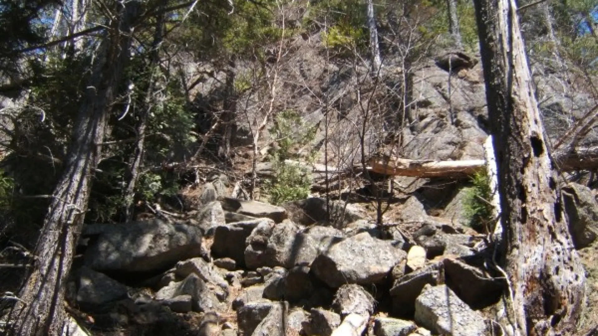 Herd Path
