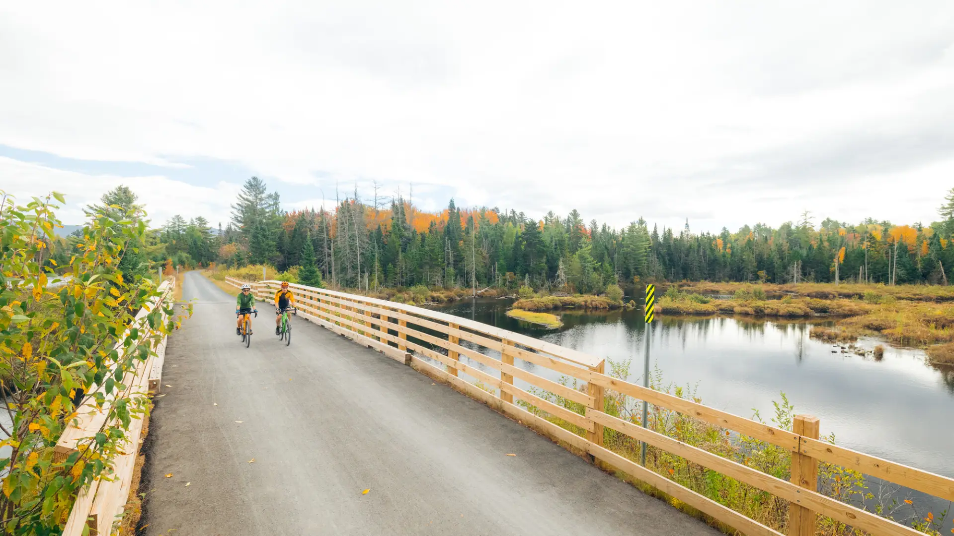 Two people riding bikes on a road during fall.