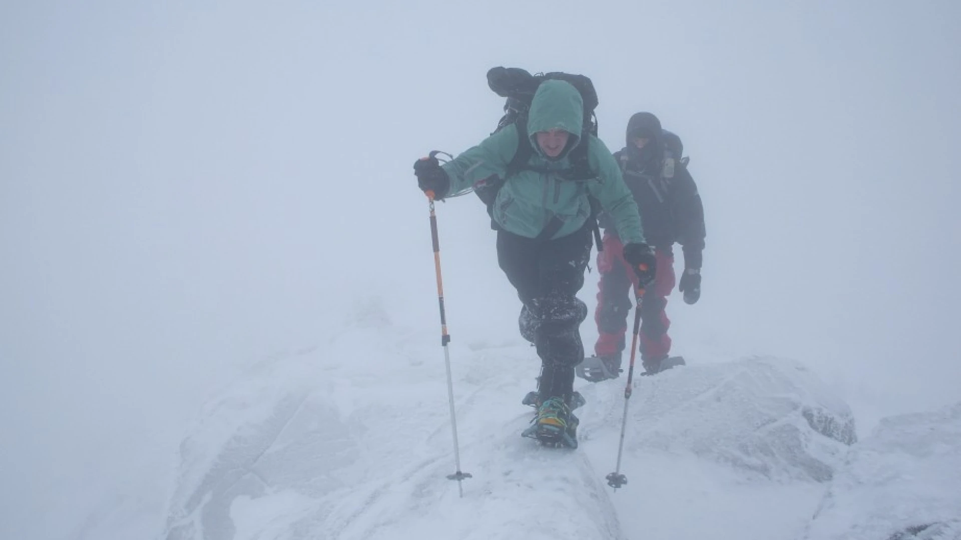Above Treeline