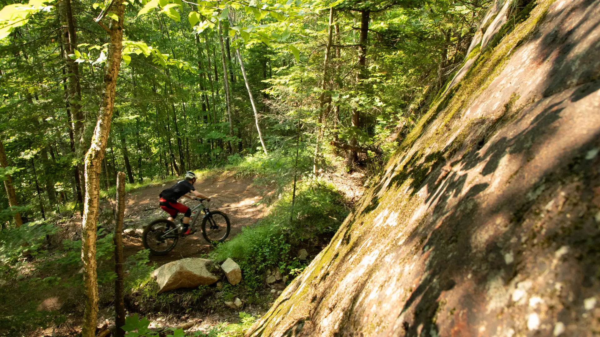 A man rides his mountain bike on a trail through the woods
