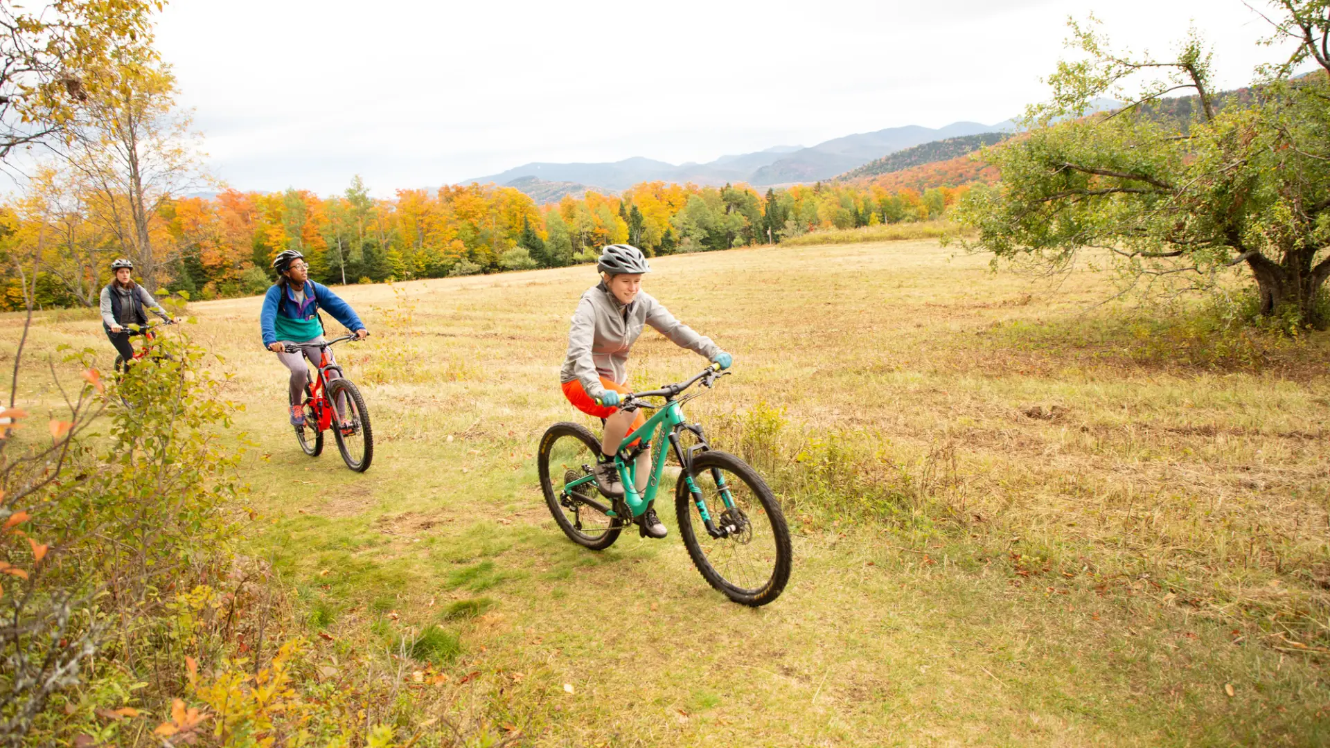 Two mountain bikers in an open field