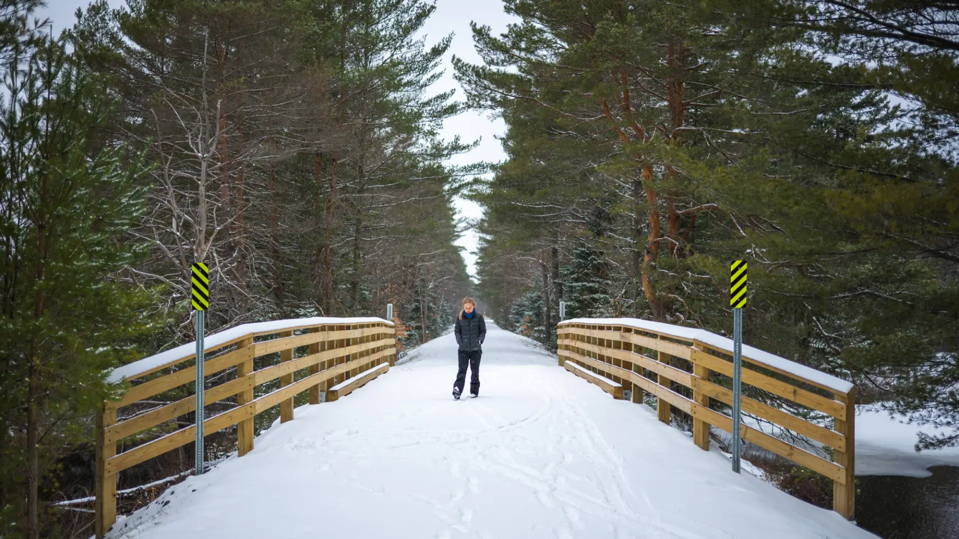 A person walking on the Rail Trail in the winter
