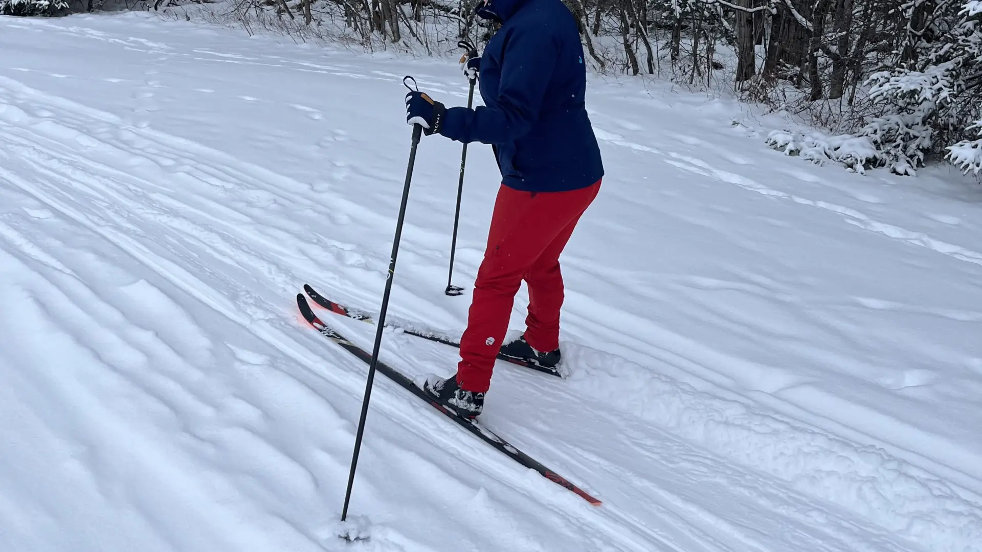 A new skier learns how to go cross country