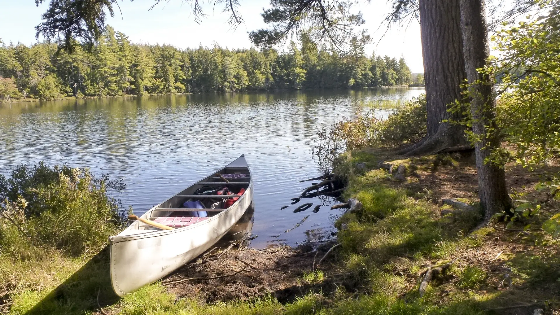 All kinds of boating at the many connected ponds.