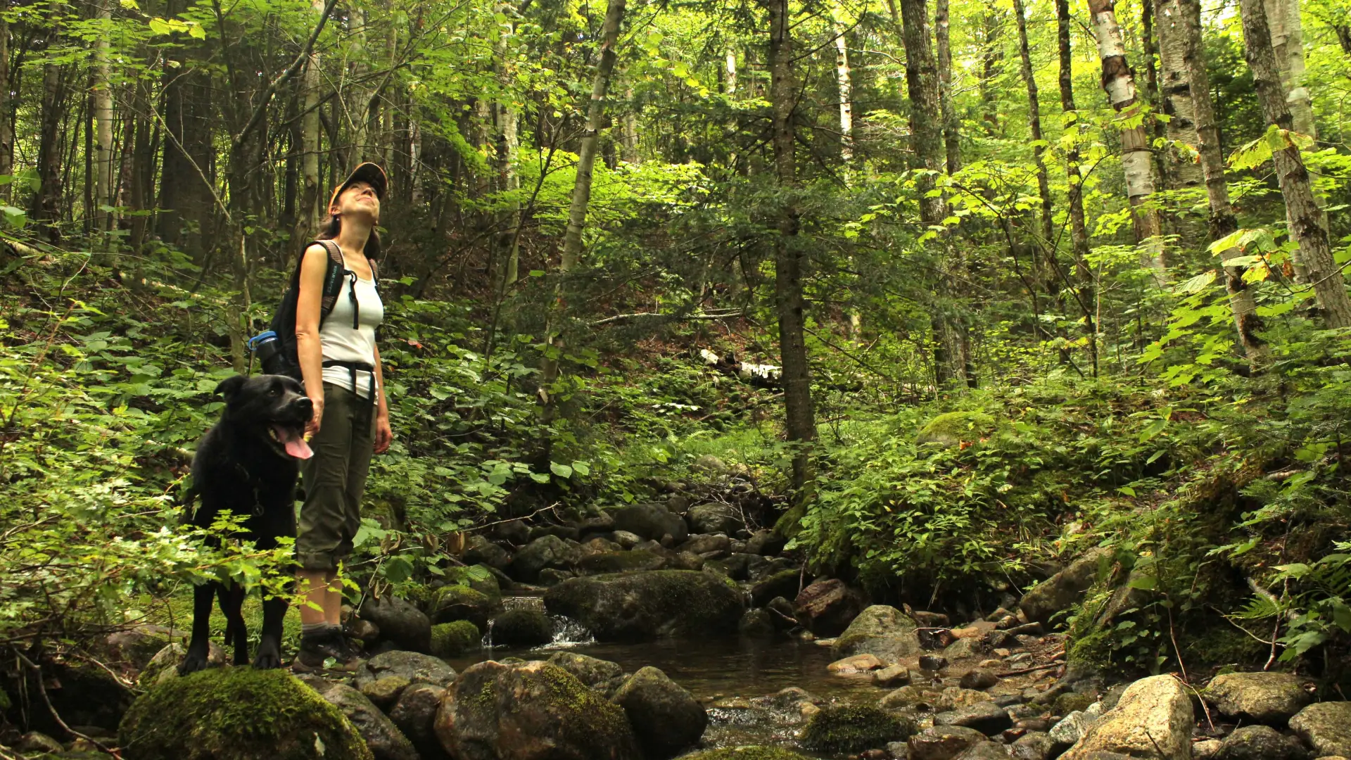 Cooper Kiln Pond is a varied trail with stream crossings and beaver sightings.