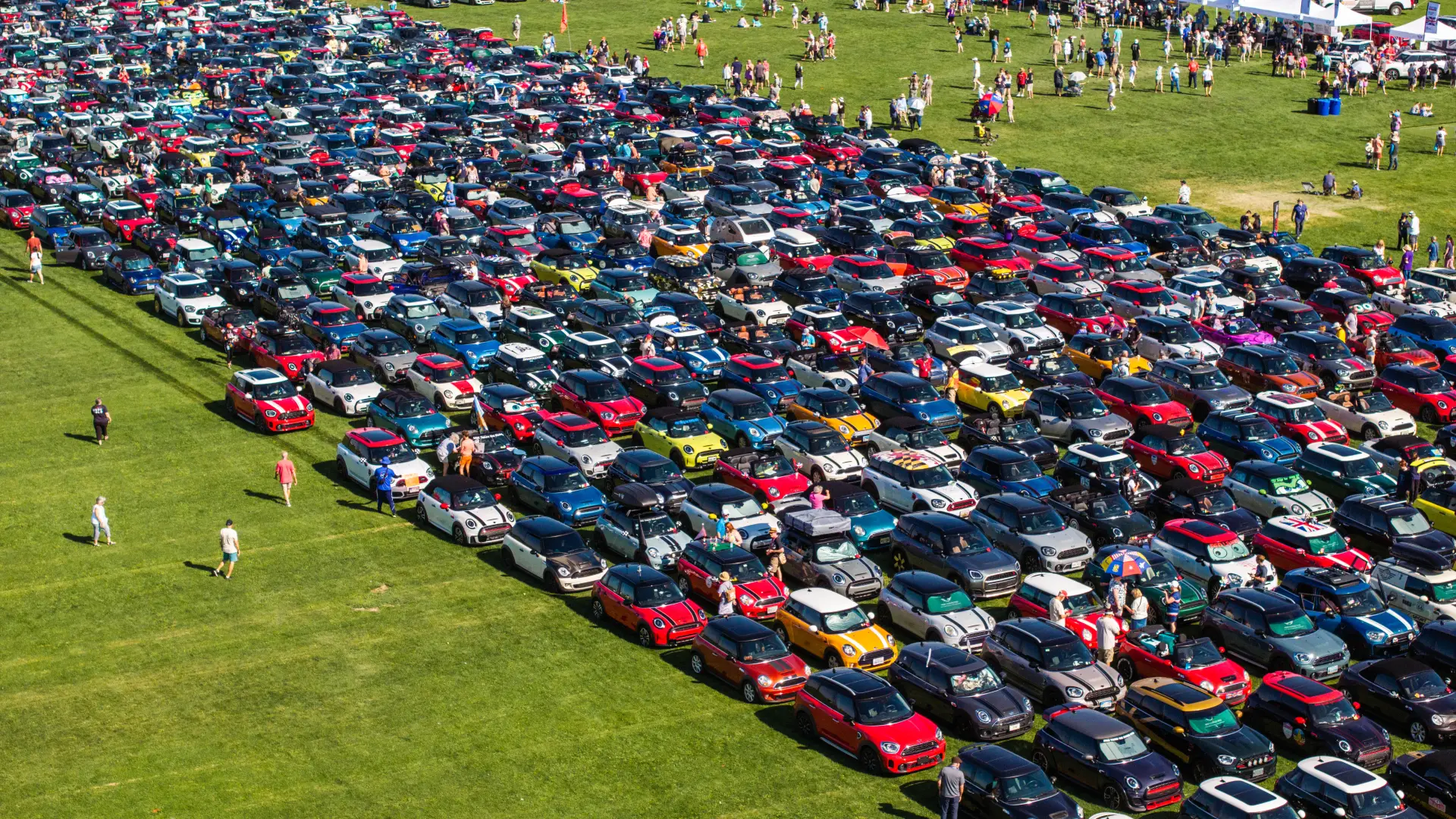 Line of cars on grass