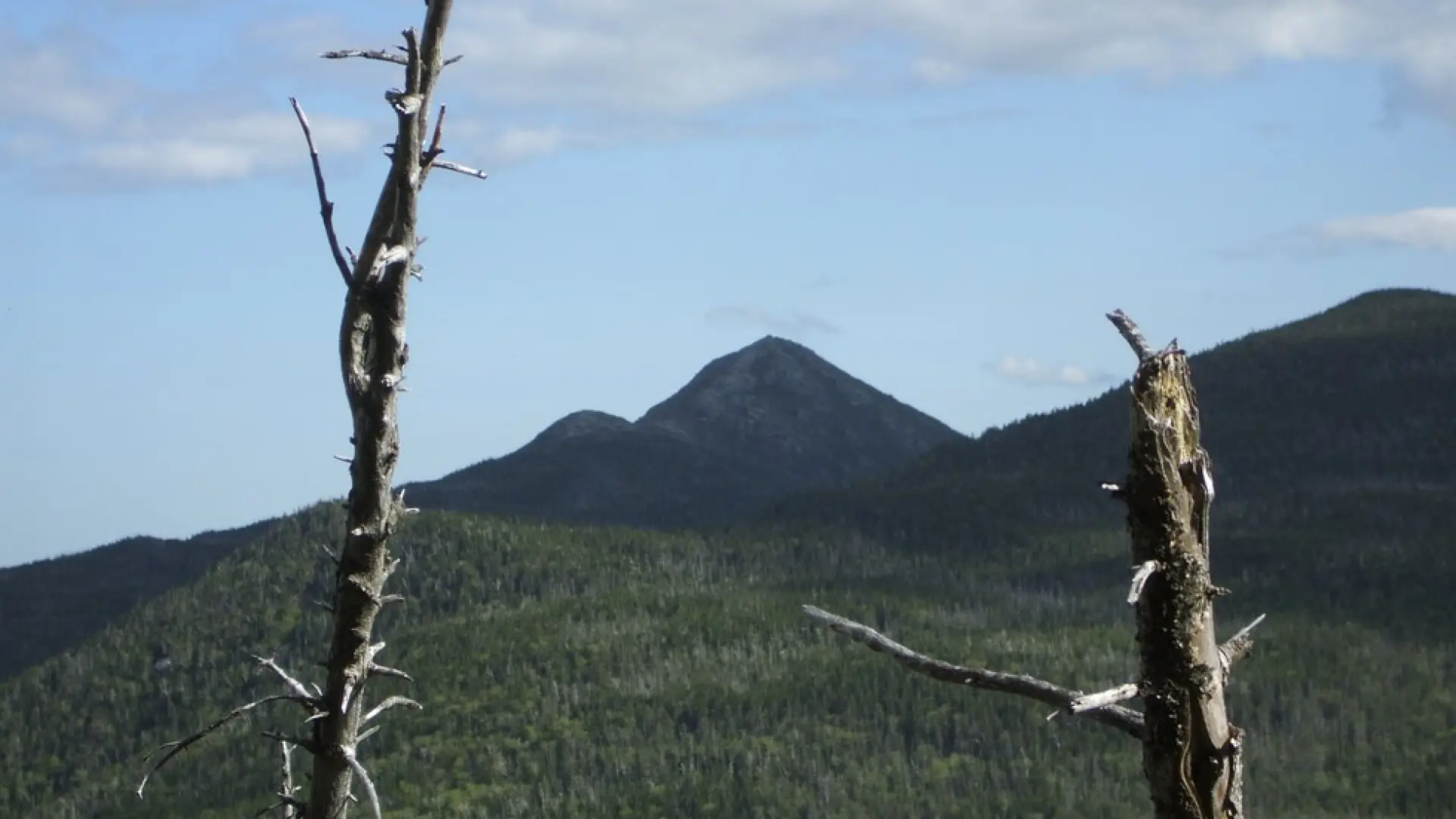 Look for the leaves to fall for the best Tabletop views.