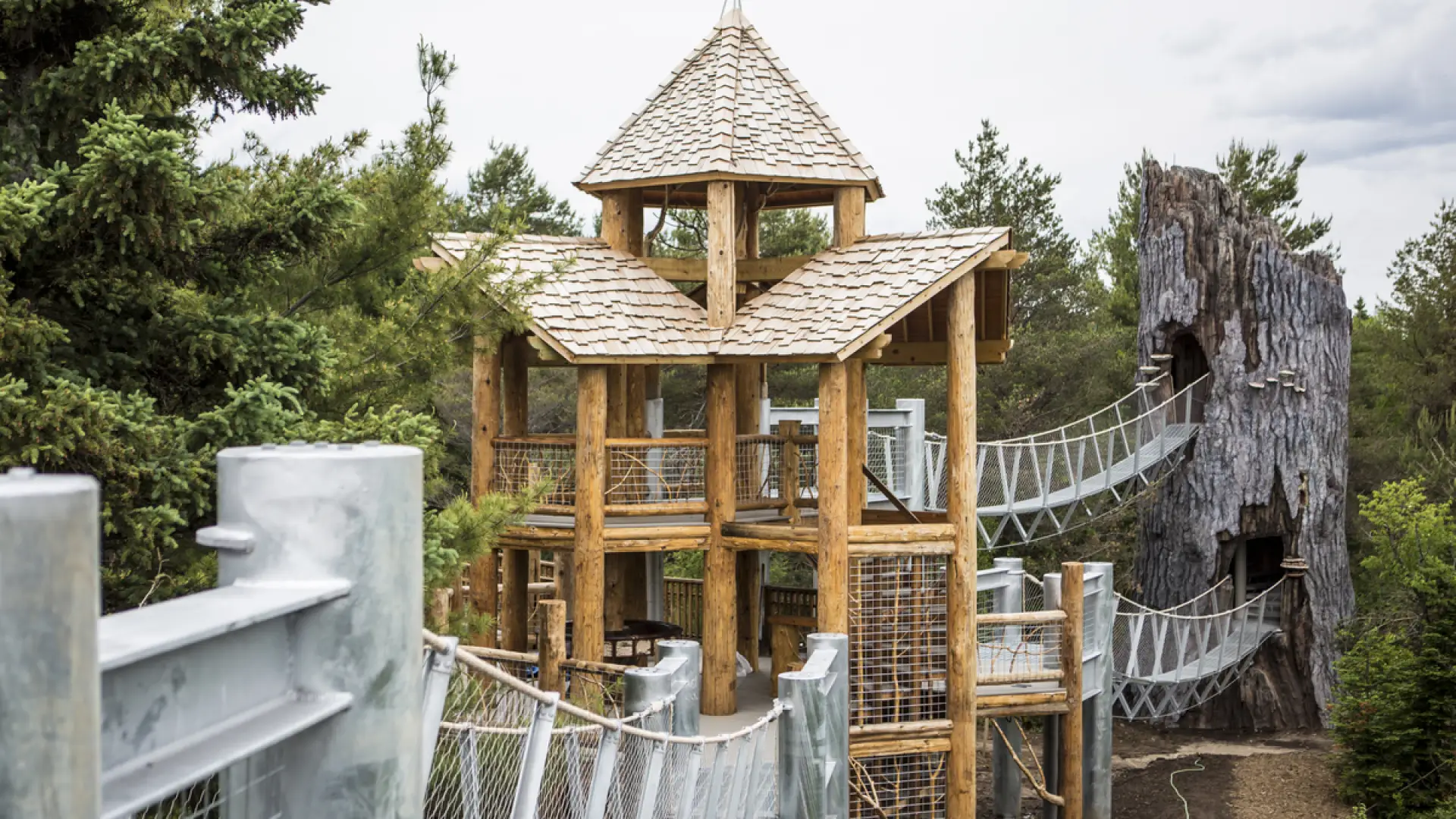 Wild Walk at the Wild Center