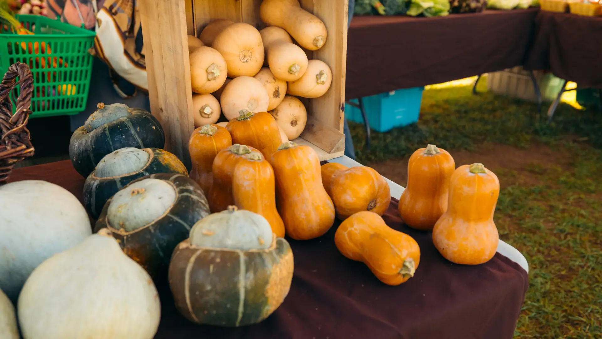 An assortment of winter squash, including butternut and buttercup varieties, is displayed on a table at a farmers market.
