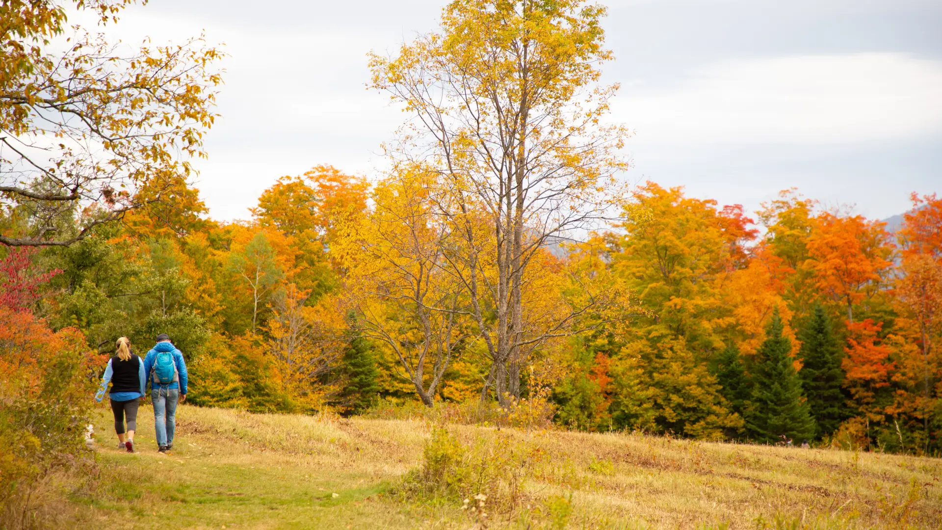 Beautiful places for an enjoyable stroll.
