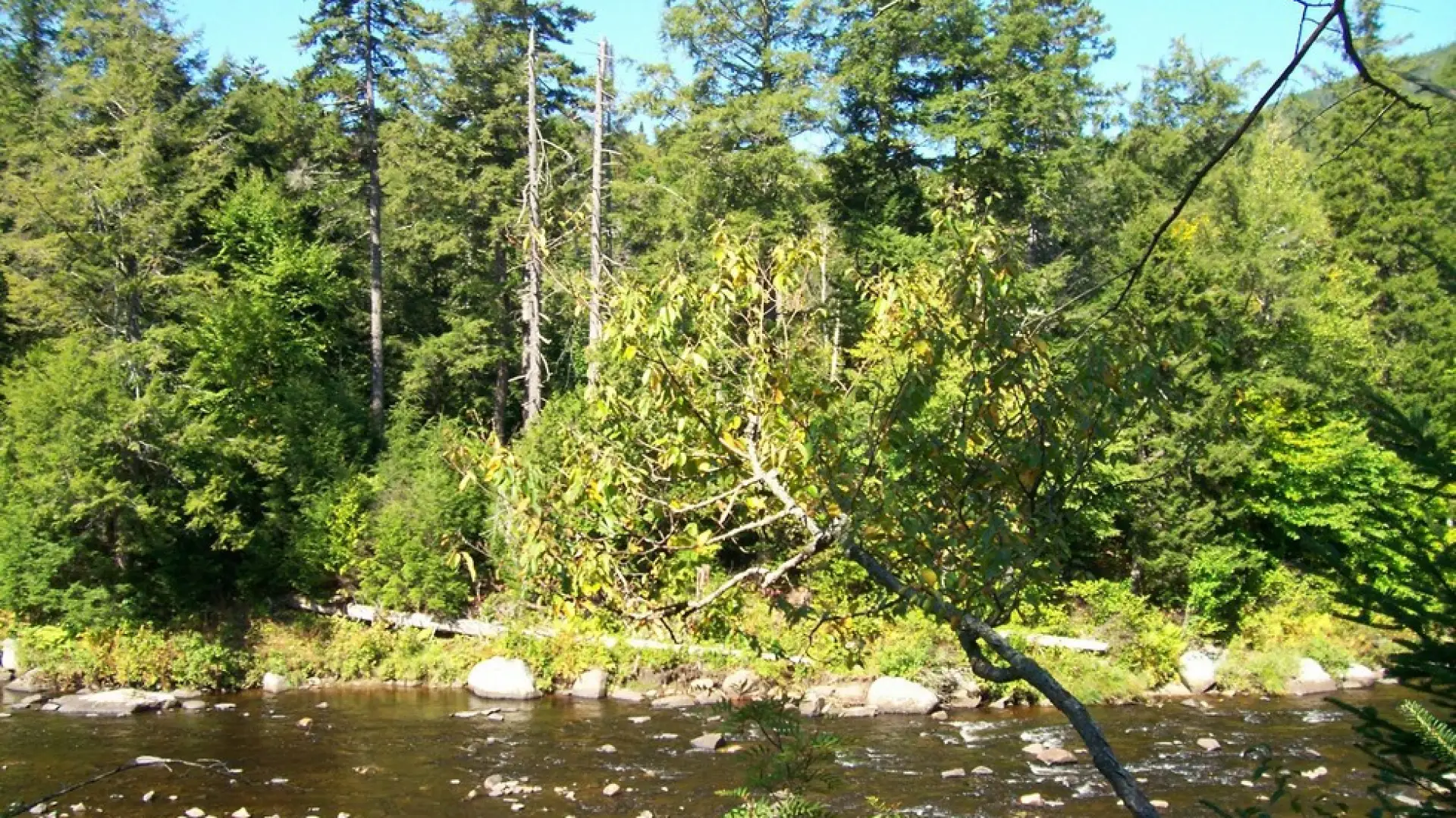 The banks of the river add interest to hiking and fishing.