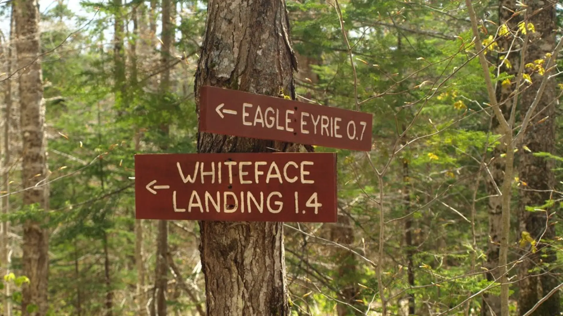 Wooden signs for Whiteface Landing and Eagle Eyrie