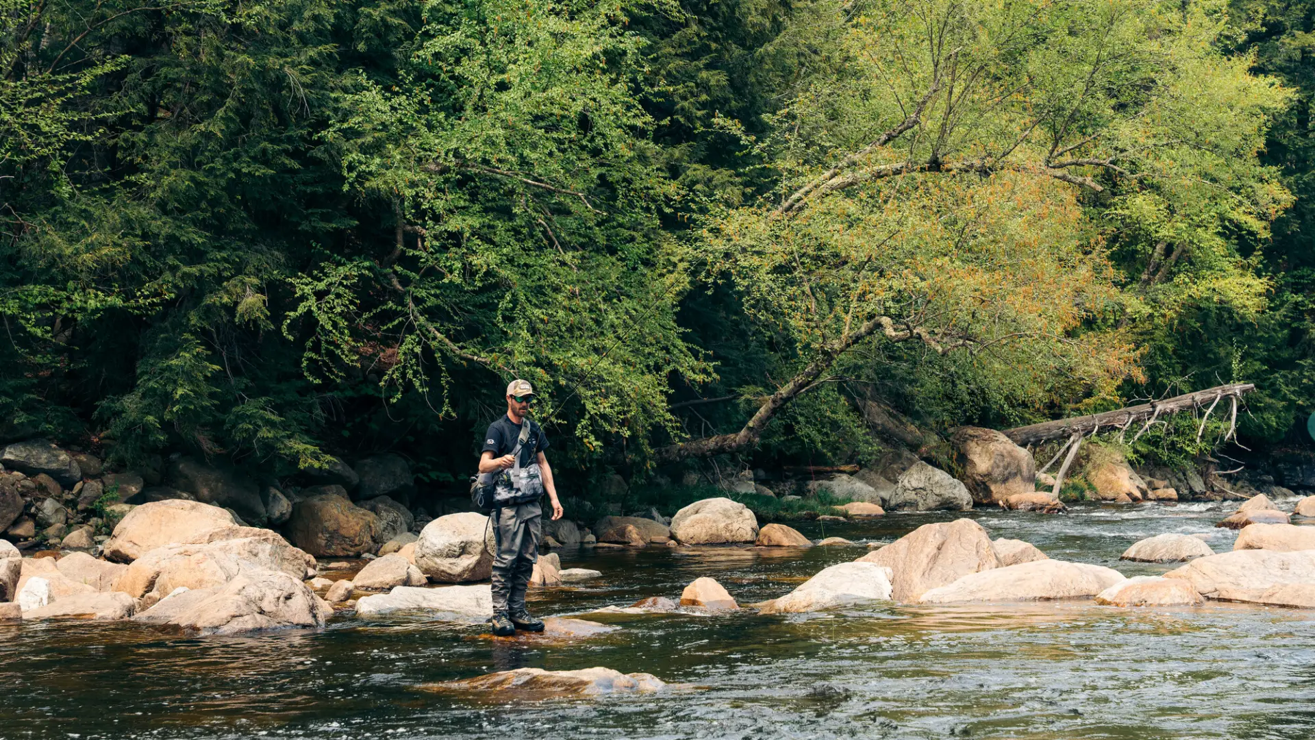 A fly fisherman in waders and gear stands on a rock in a shallow, boulder-filled river surrounded by a lush green forest.