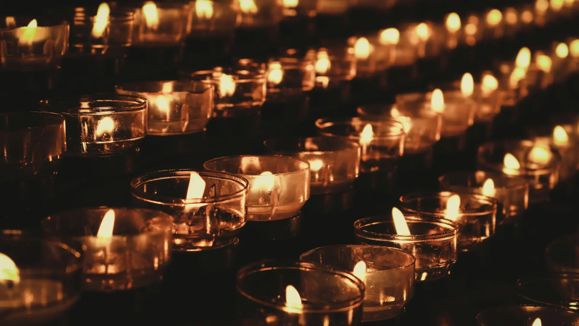 Rows of softly glowing tealight candles in clear holders.