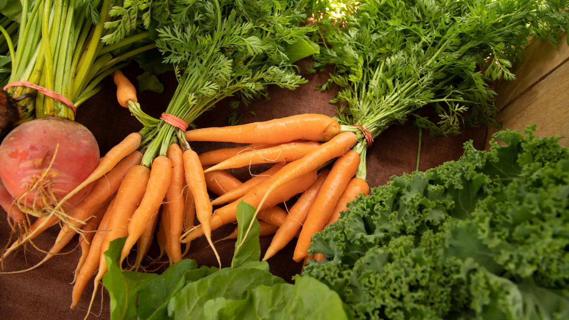 Carrots and other vegetables on a table.
