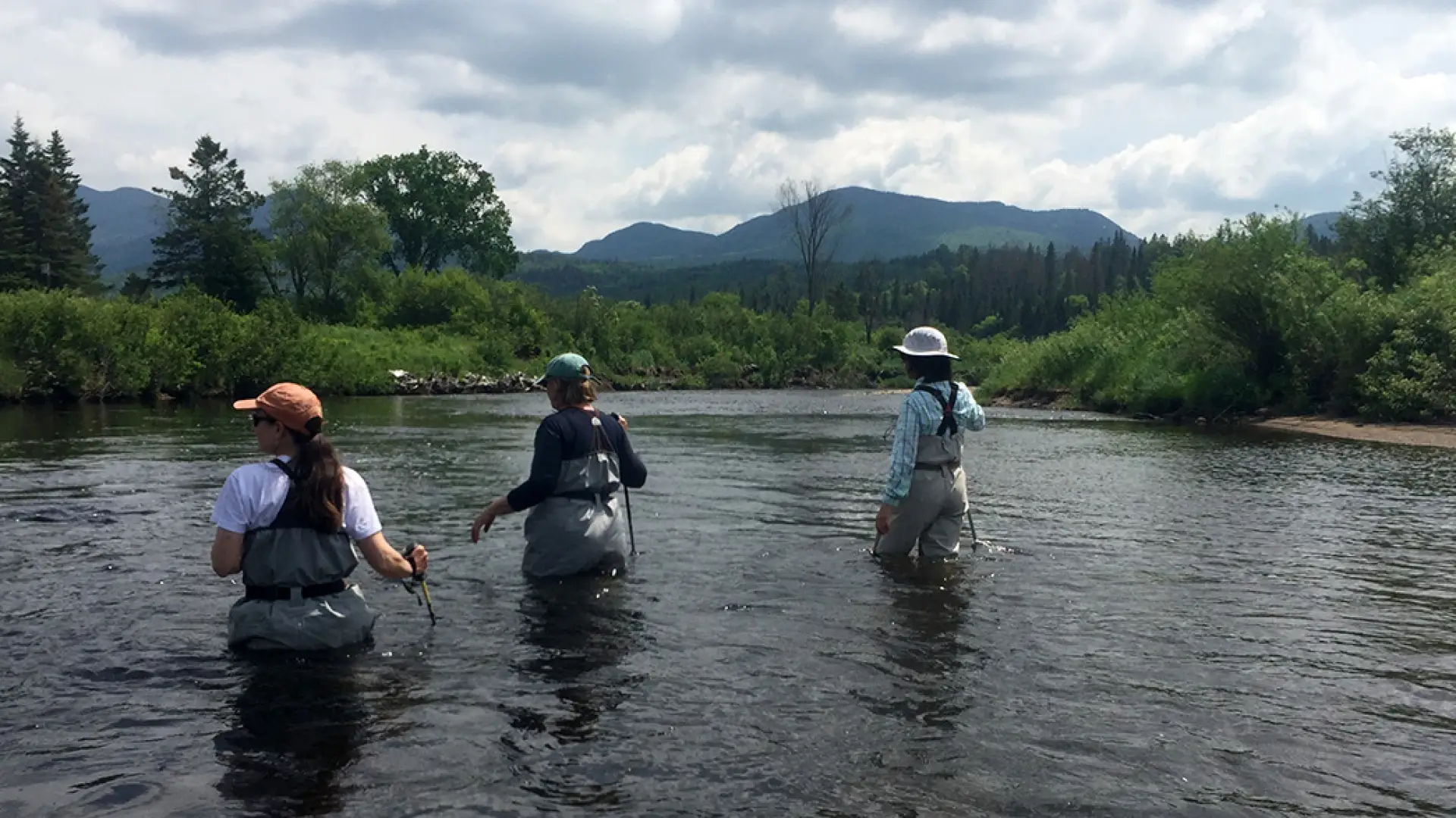 Walking with the current in the Ausable River.