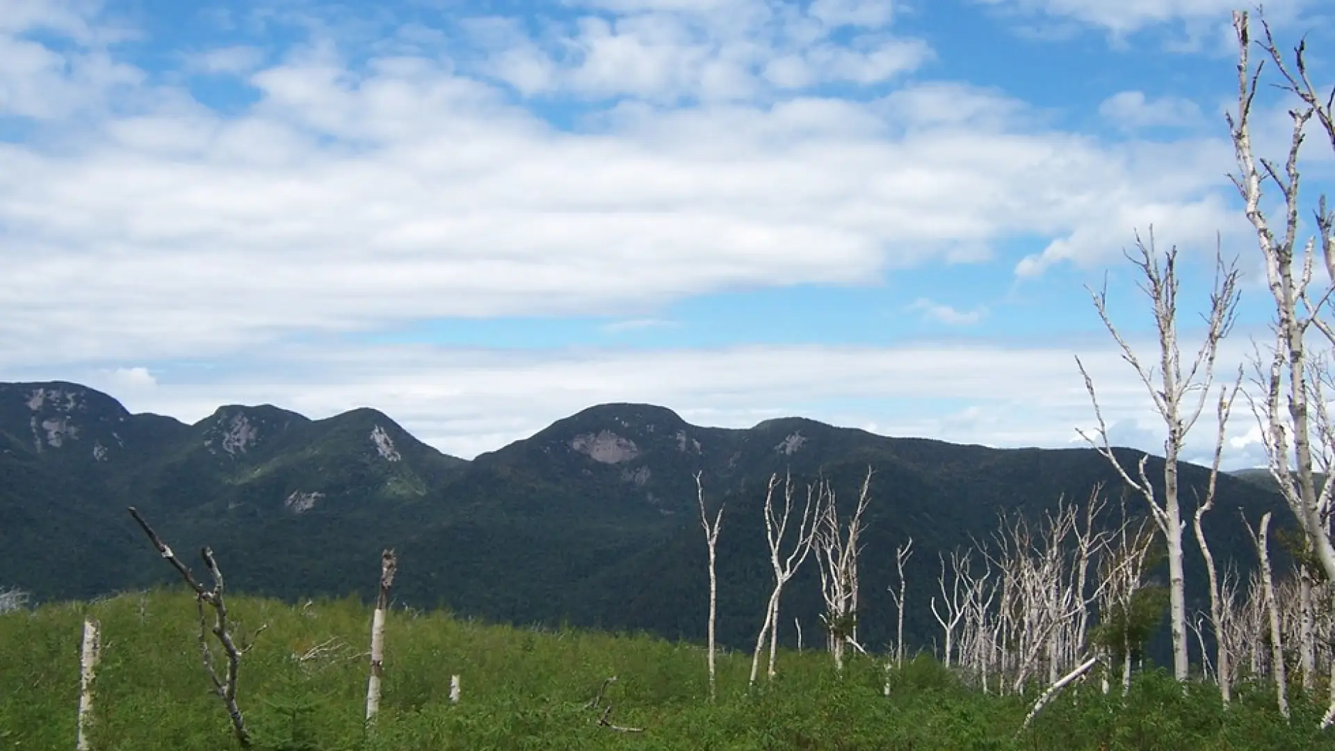 Here is the angle that gave two mountains the name of Wolf Jaw.