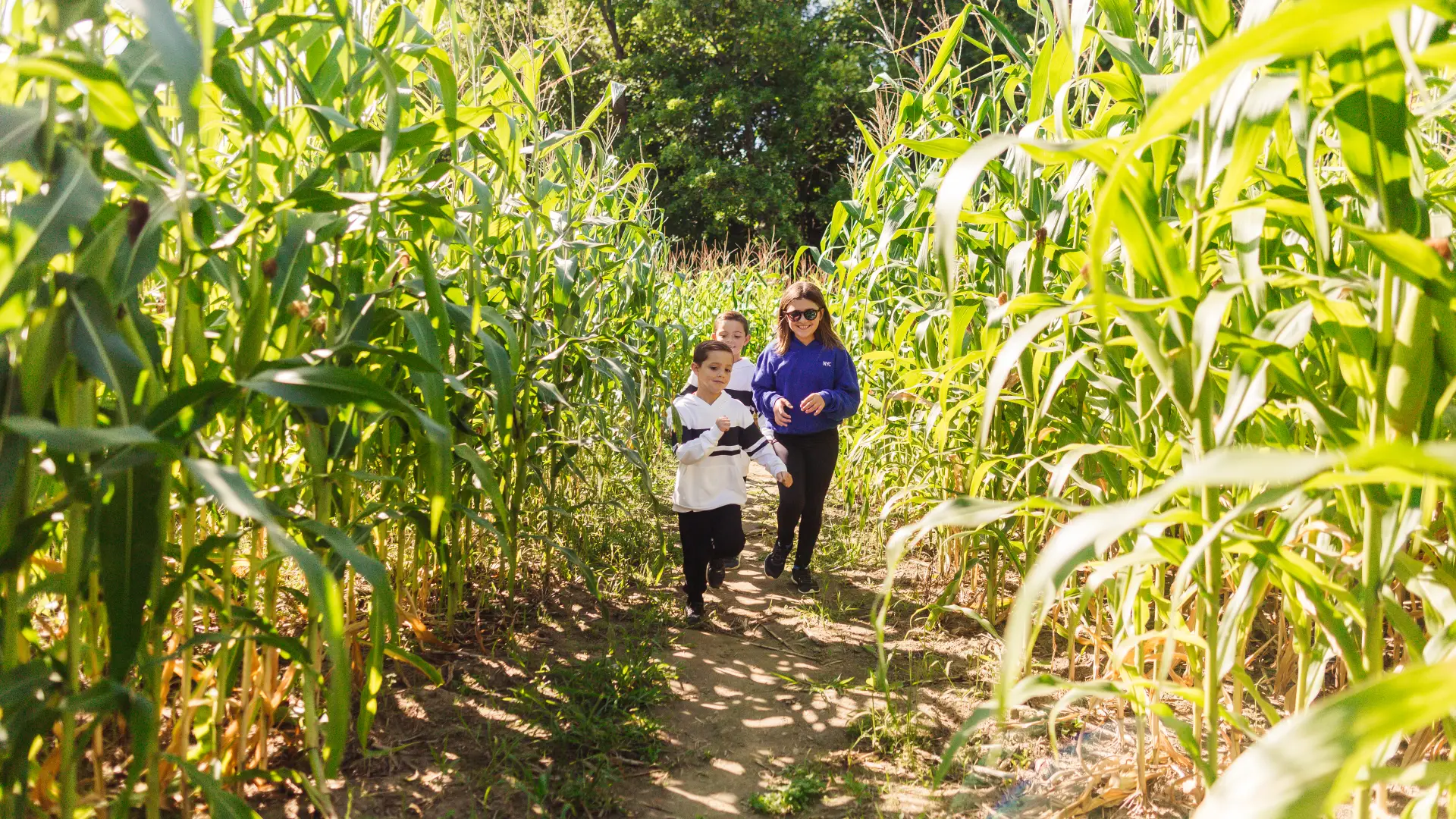 Three smiling children walk through the corn maze.