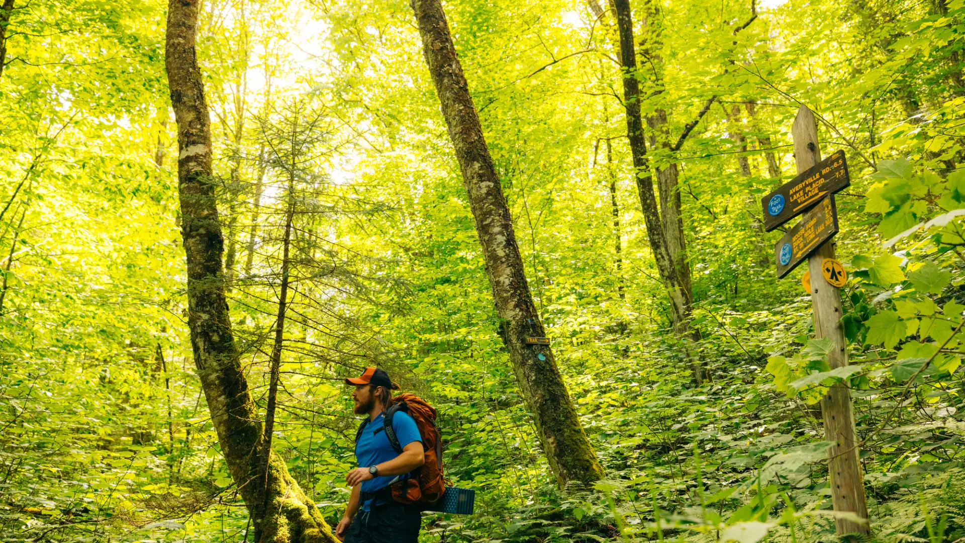 A hiker goes left at a junction