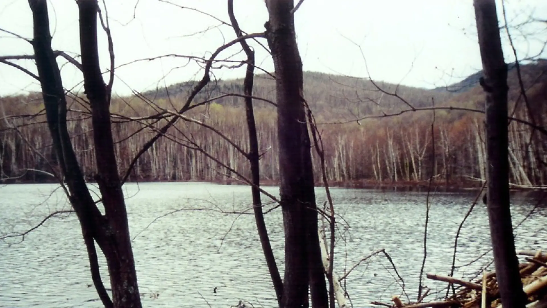 Round Pond is beautiful in winter.