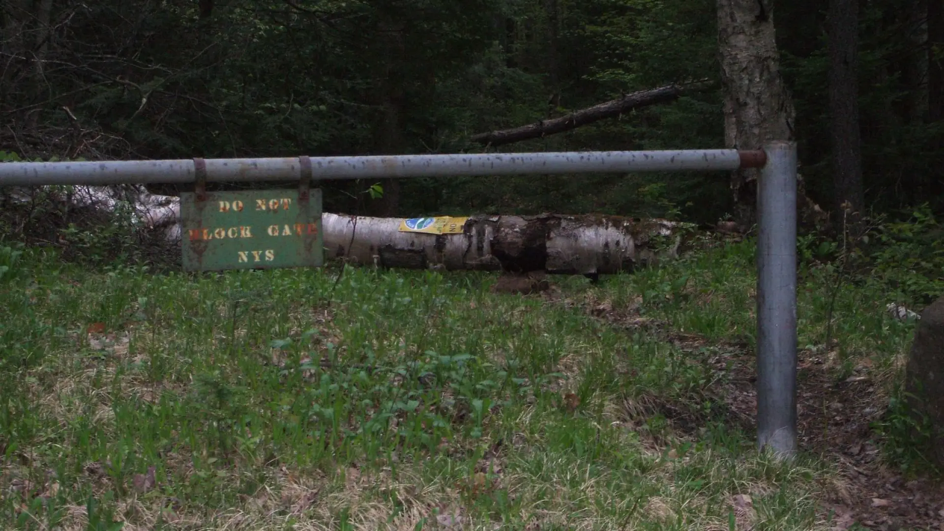 Gate at Woods Road
