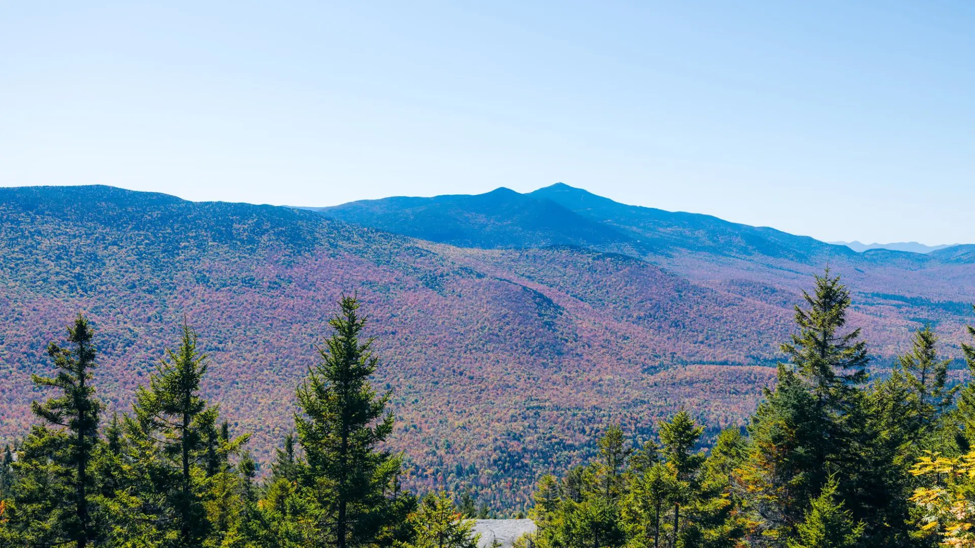 The view of Whiteface from Catamount