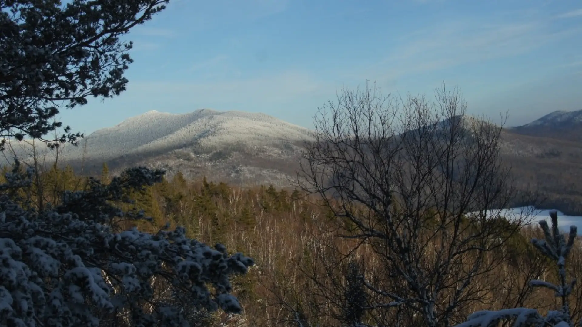 McKenzie Mountain