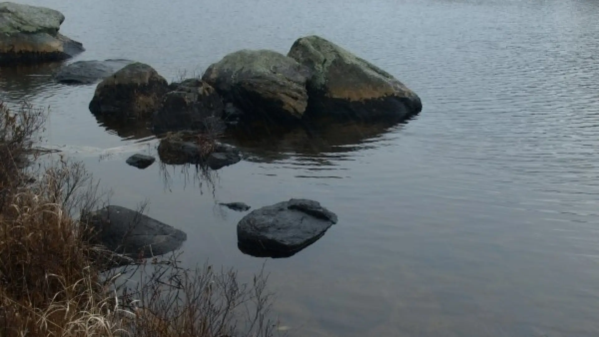 Long Pond View