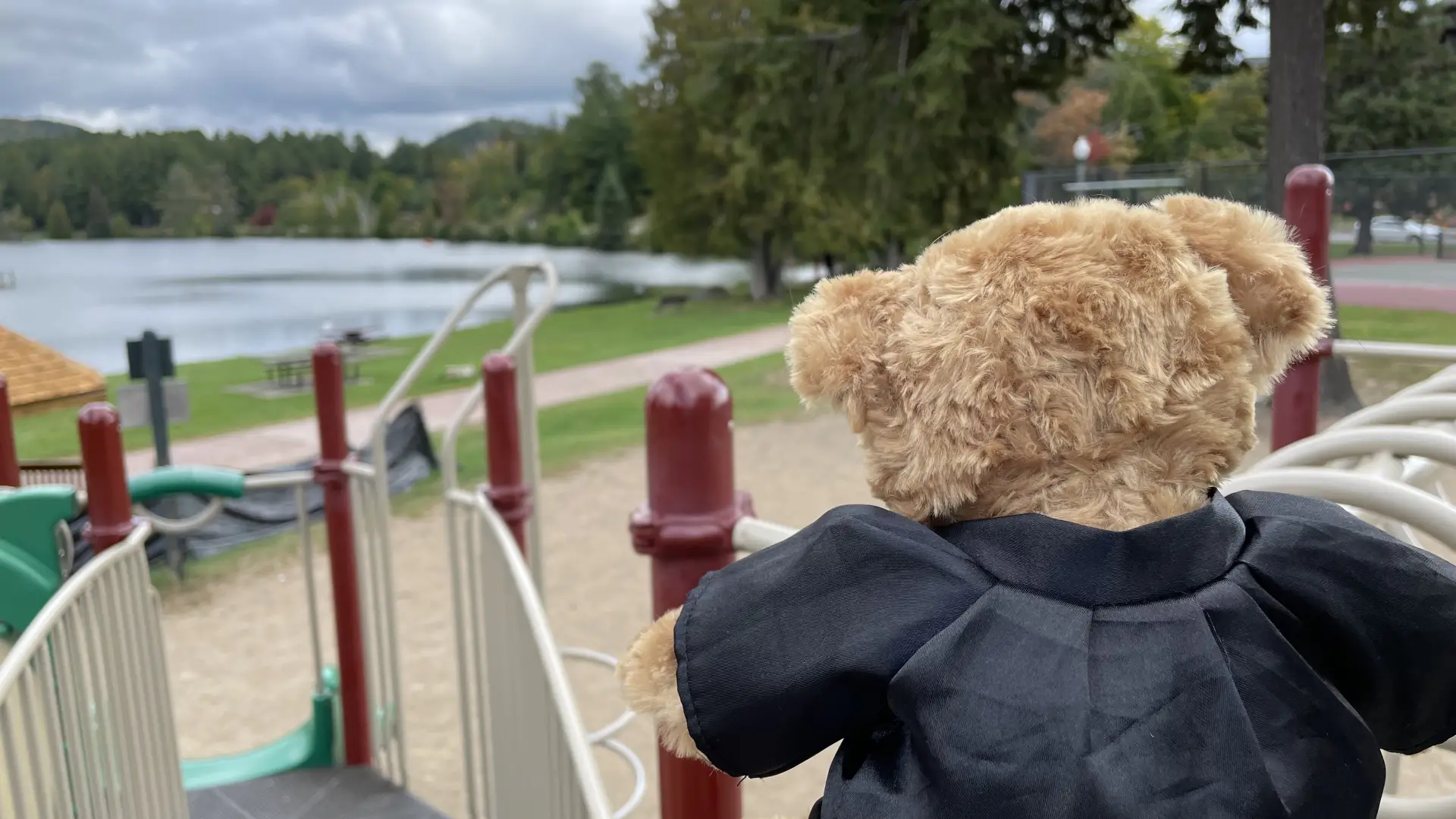 Close up of a teddy bear's back perched on the top of a slide on a playground.