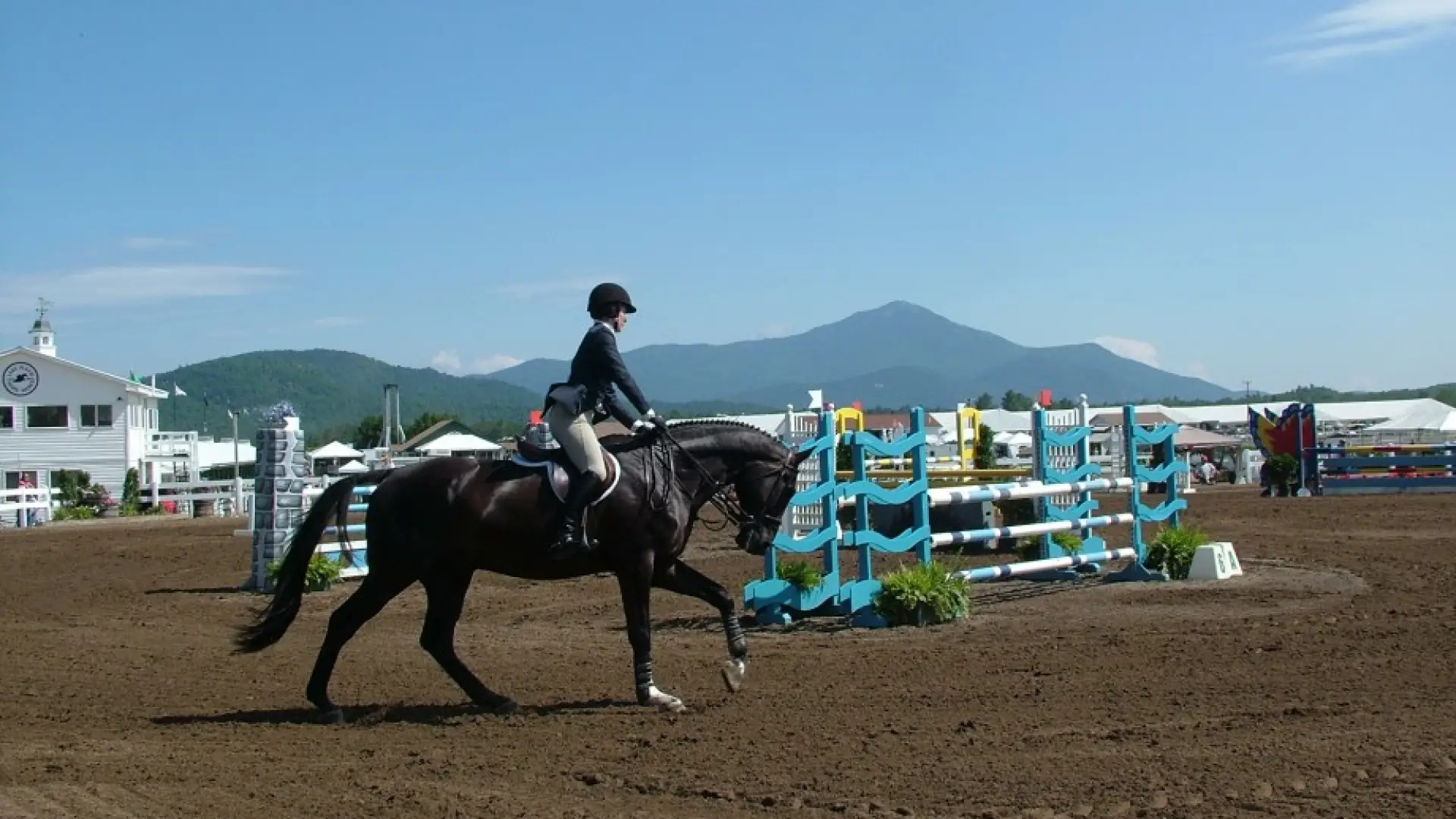 Horse Show