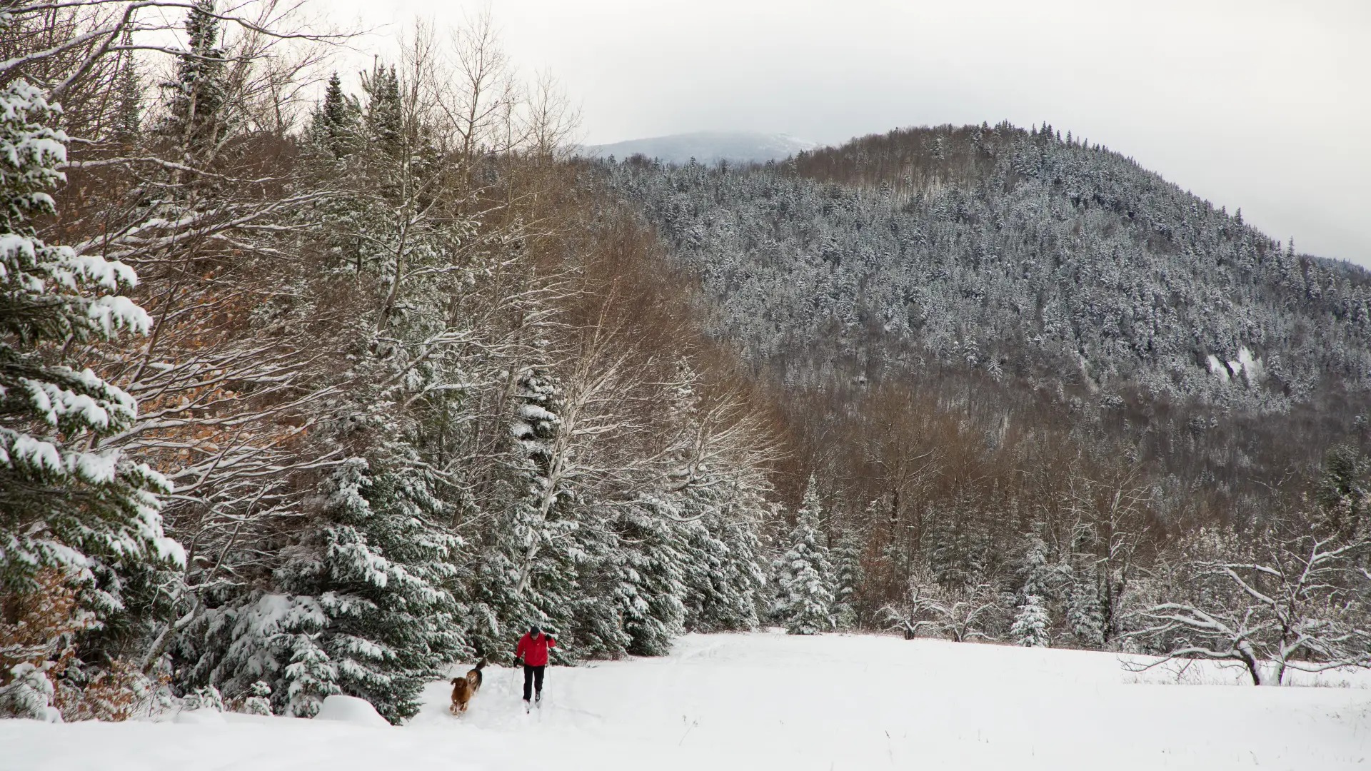 Plenty of photo opportunities of the special winter landscape.