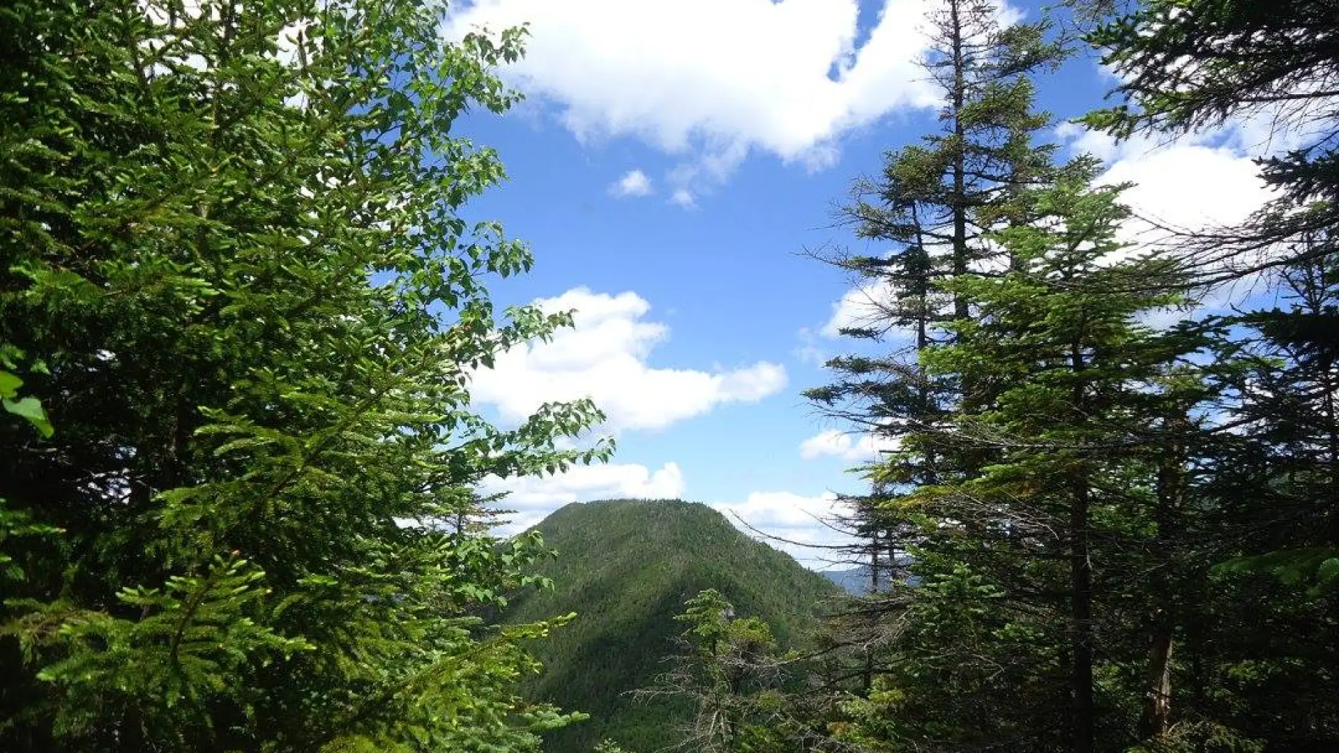 A narrow view of a flat-topped mountain