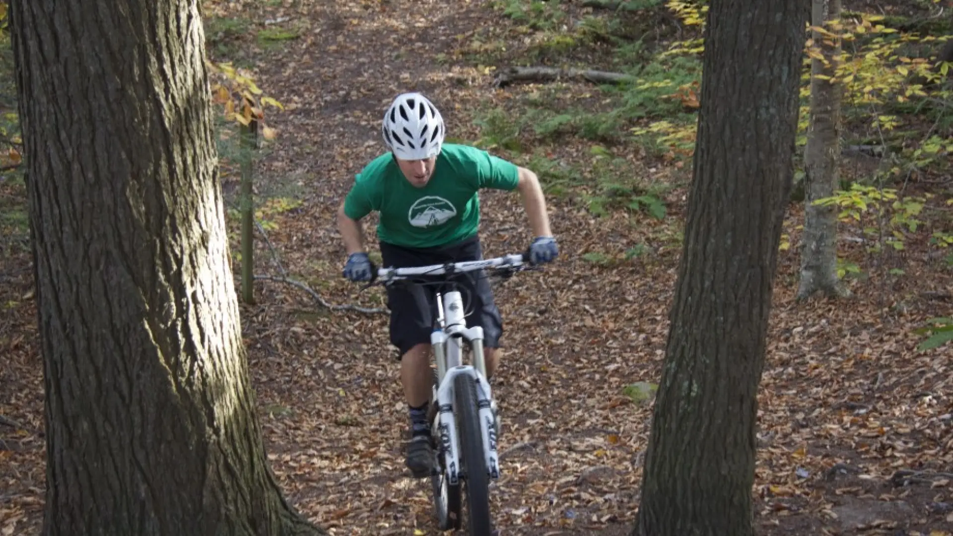 A short climb on the Ridge Trail