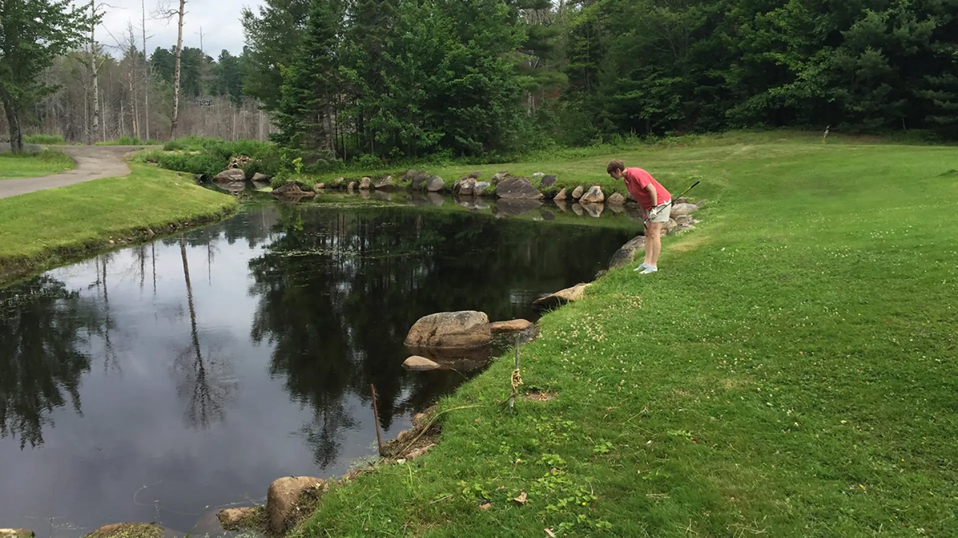 This pond is a magnet for golf balls.