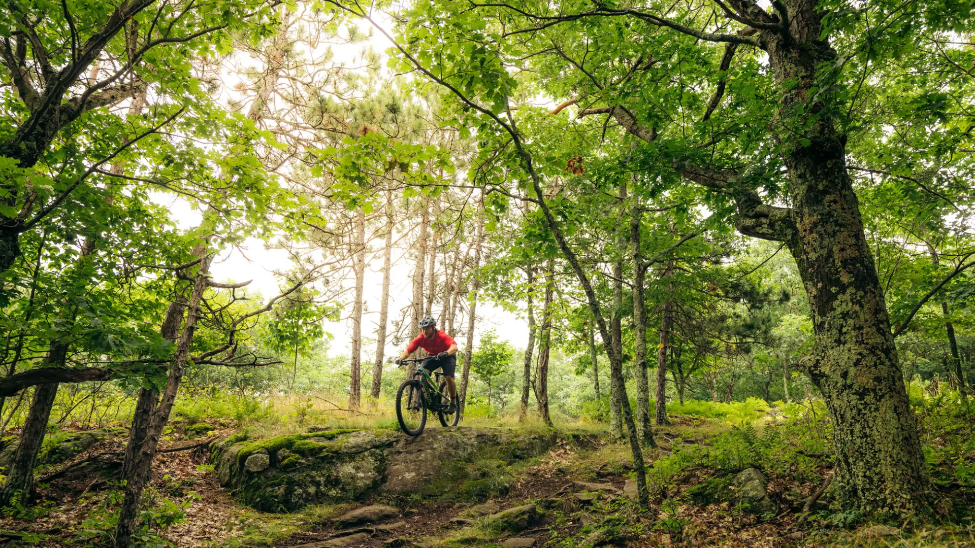 A mountain biker going down a dirt trail