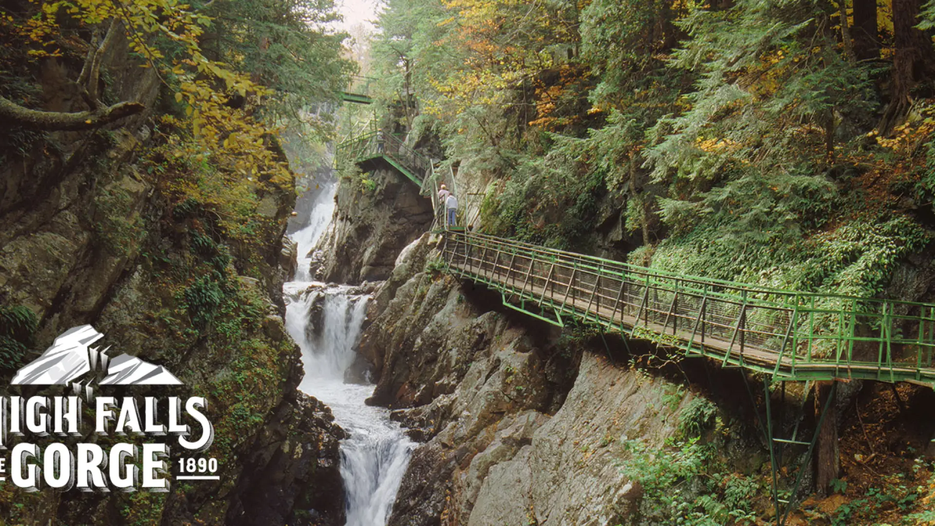 A view of the gorge from one of the awesome walkways
