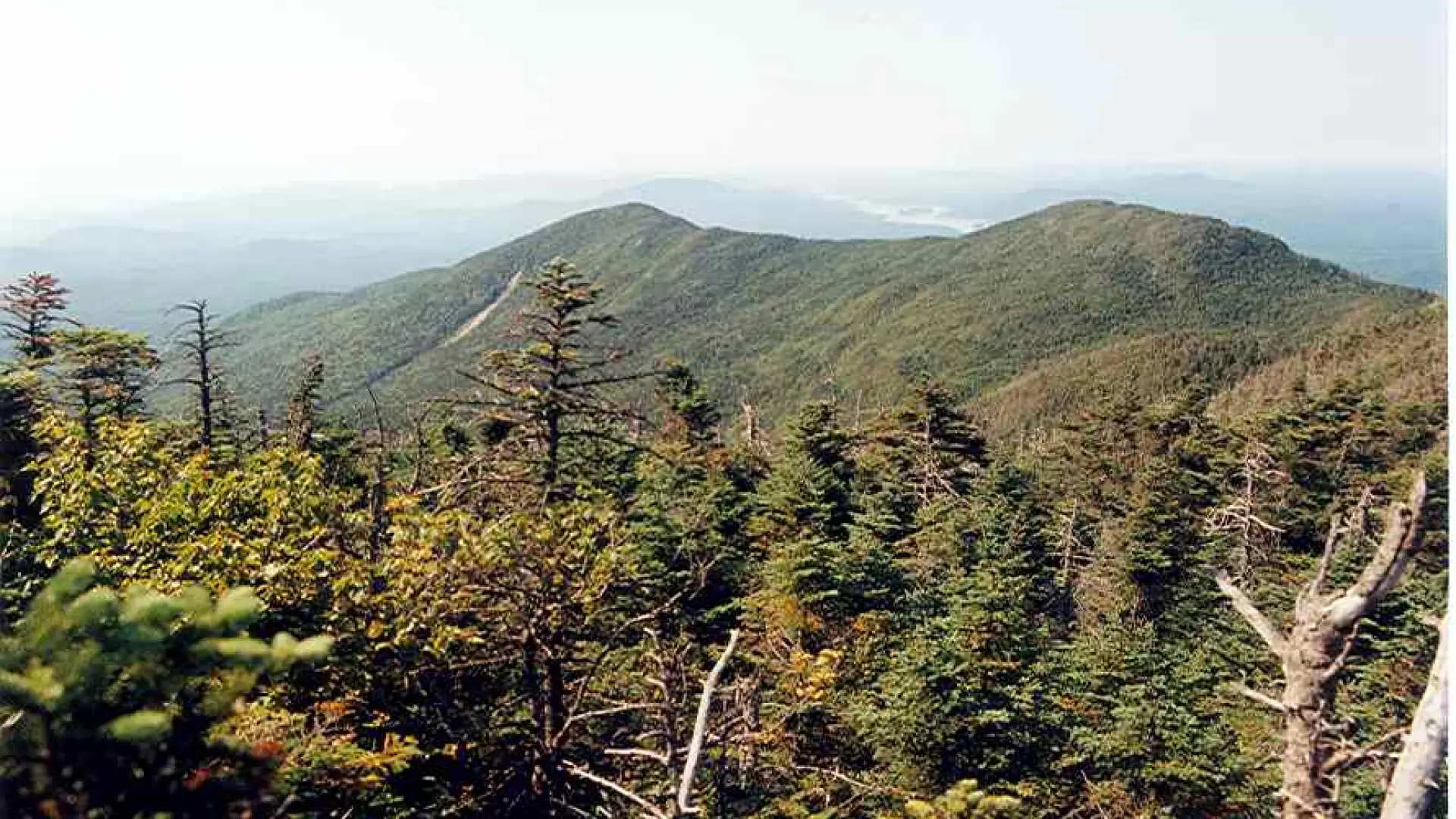 A mountain range in the summer