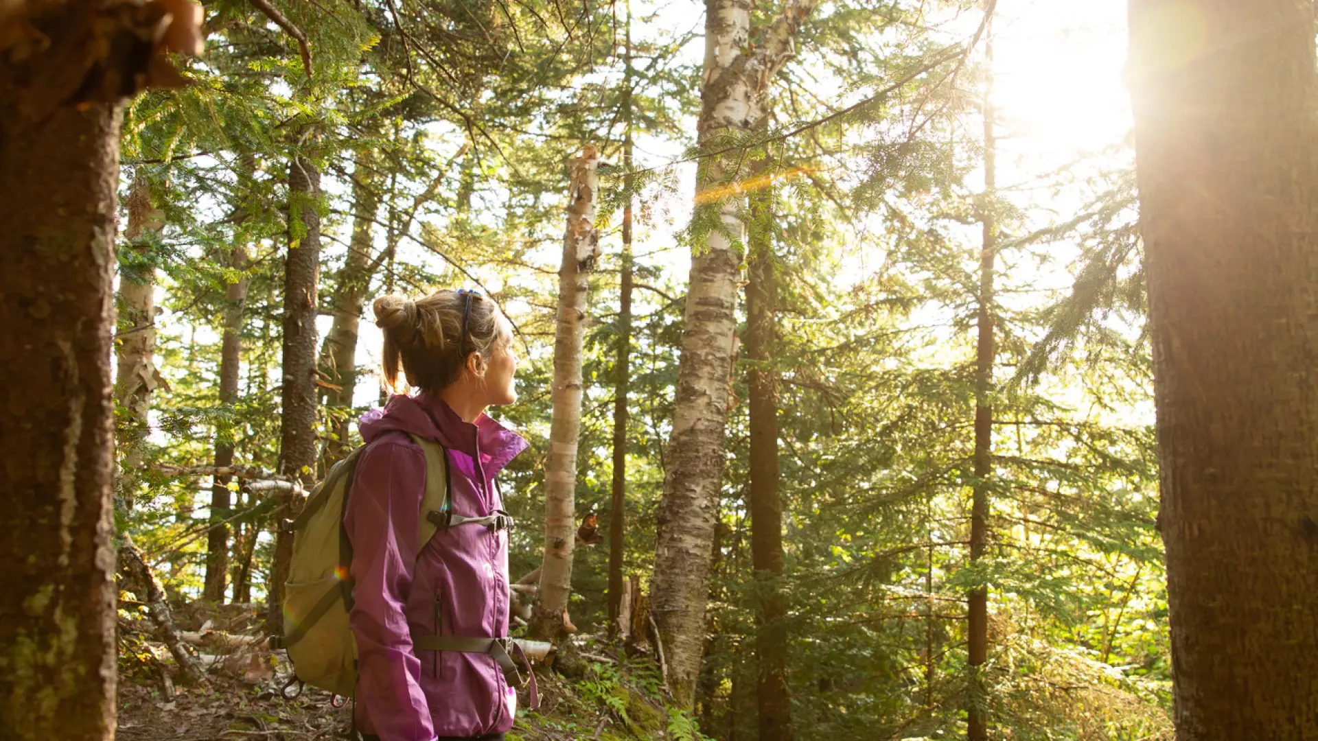 Hiker standing on trail looking at the sun shining through the trees