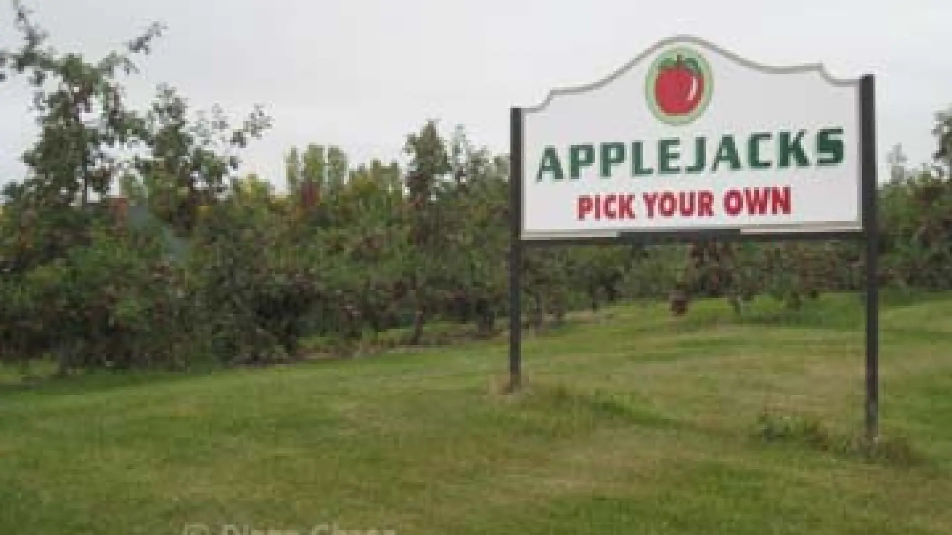 Applejacks Orchard Peru Pick Your Own Apples