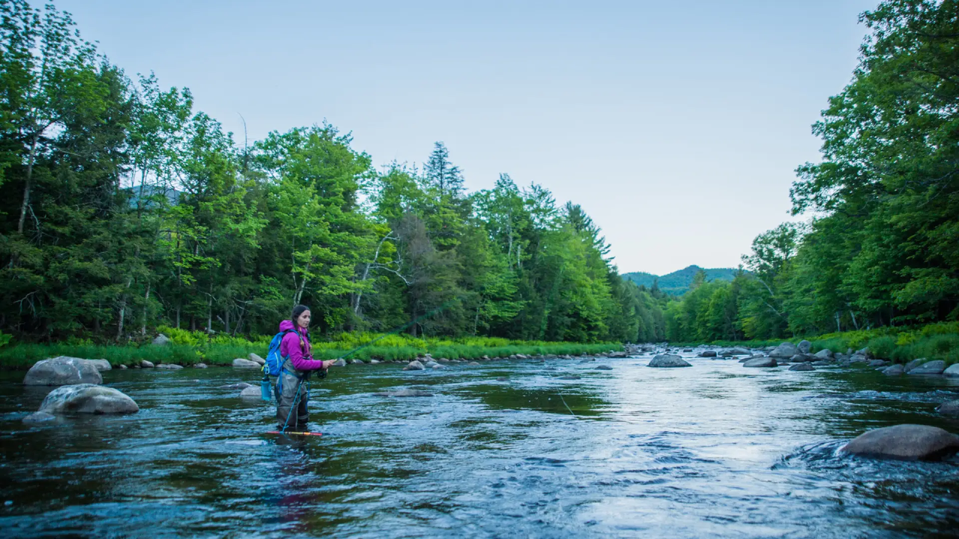 A fly fisherwoman in the river