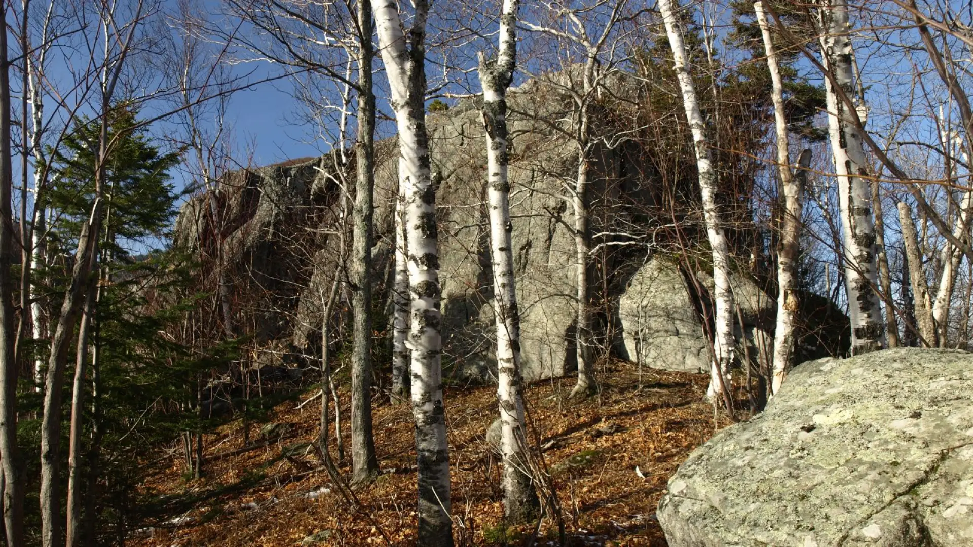 An enormous block of granite